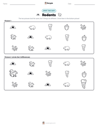 Rodents printable worksheet preview
