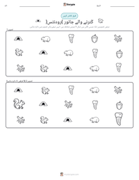 کُترنے والے جانور (رودنٹس) پرنٹ کرنے کے قابل ورکشیٹ کا پیش نظارہ
