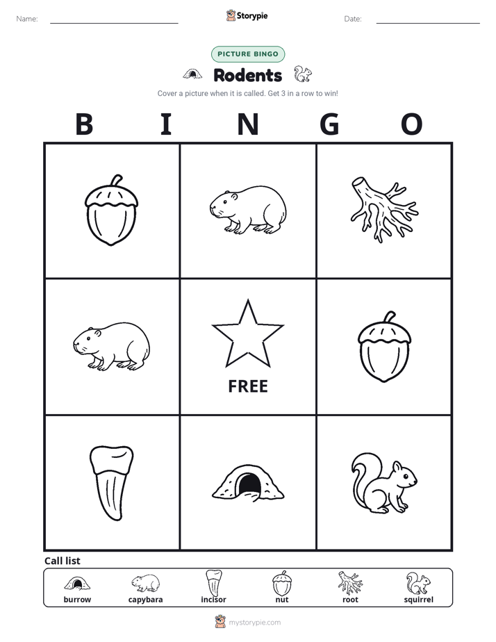 Picture Bingo