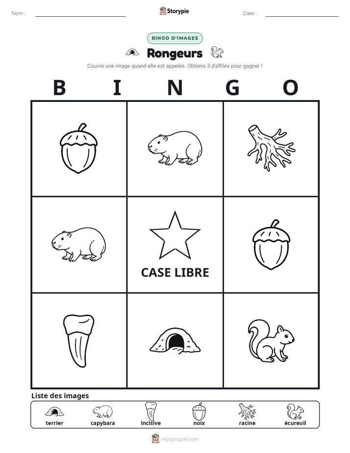 Bingo d'Images