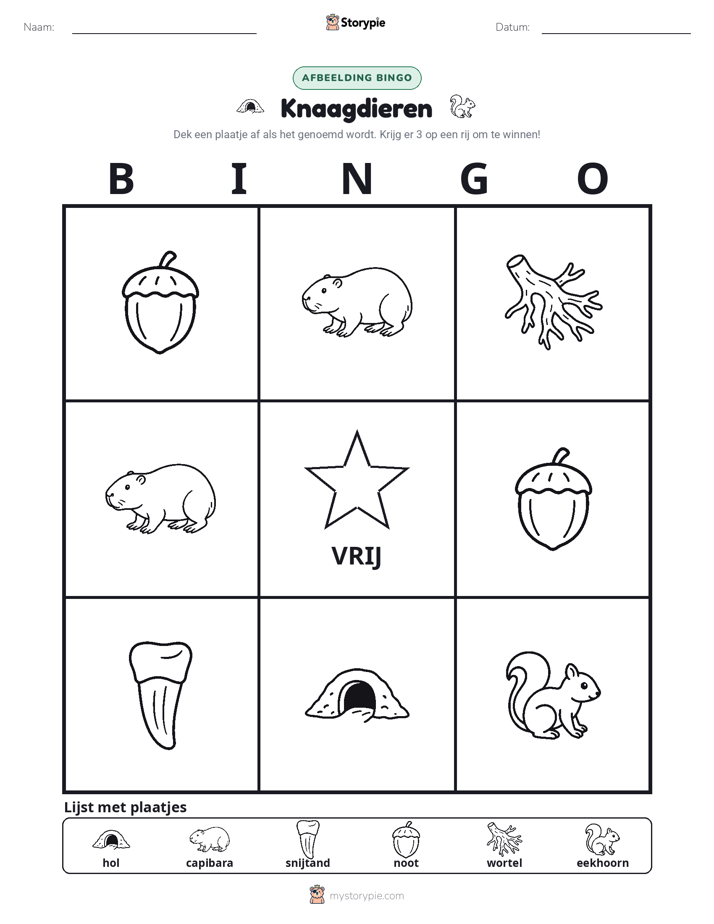Afbeelding Bingo
