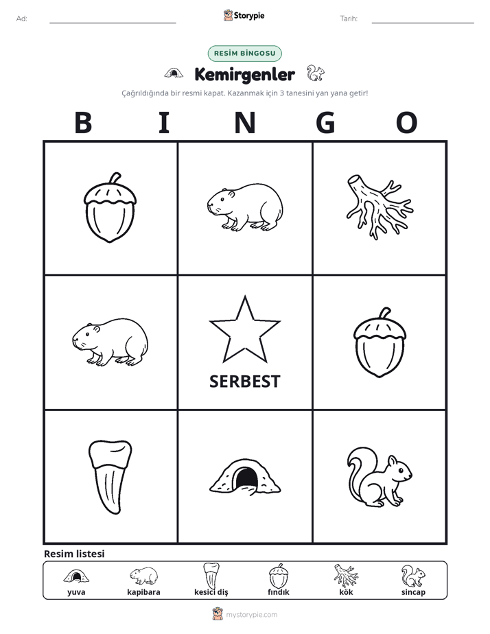 Resim Bingo
