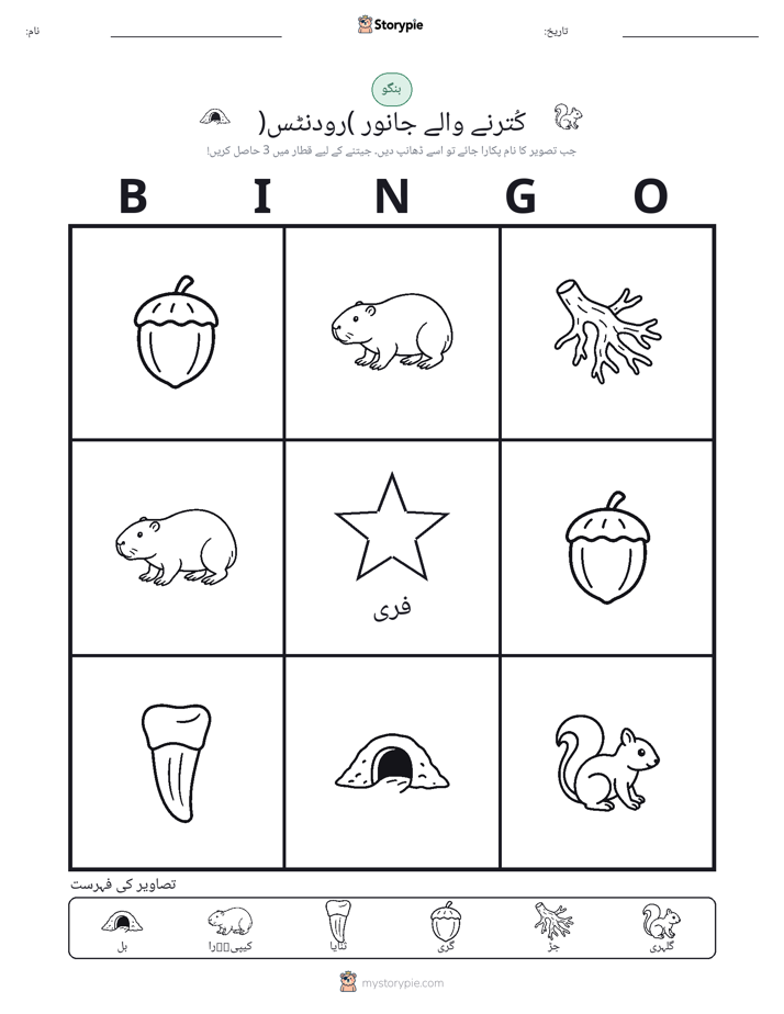تصویری بنگو