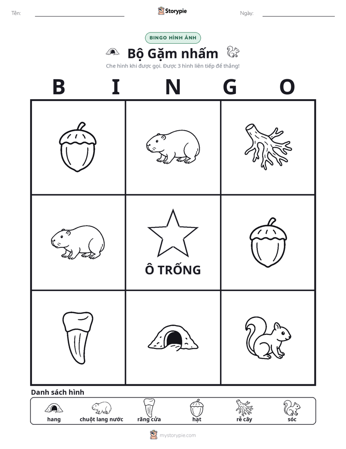 Bingo Hình Ảnh