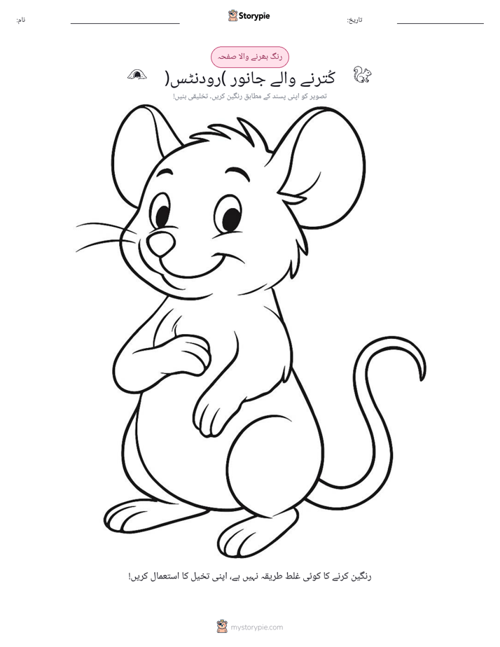 رنگ بھرنے کا صفحہ