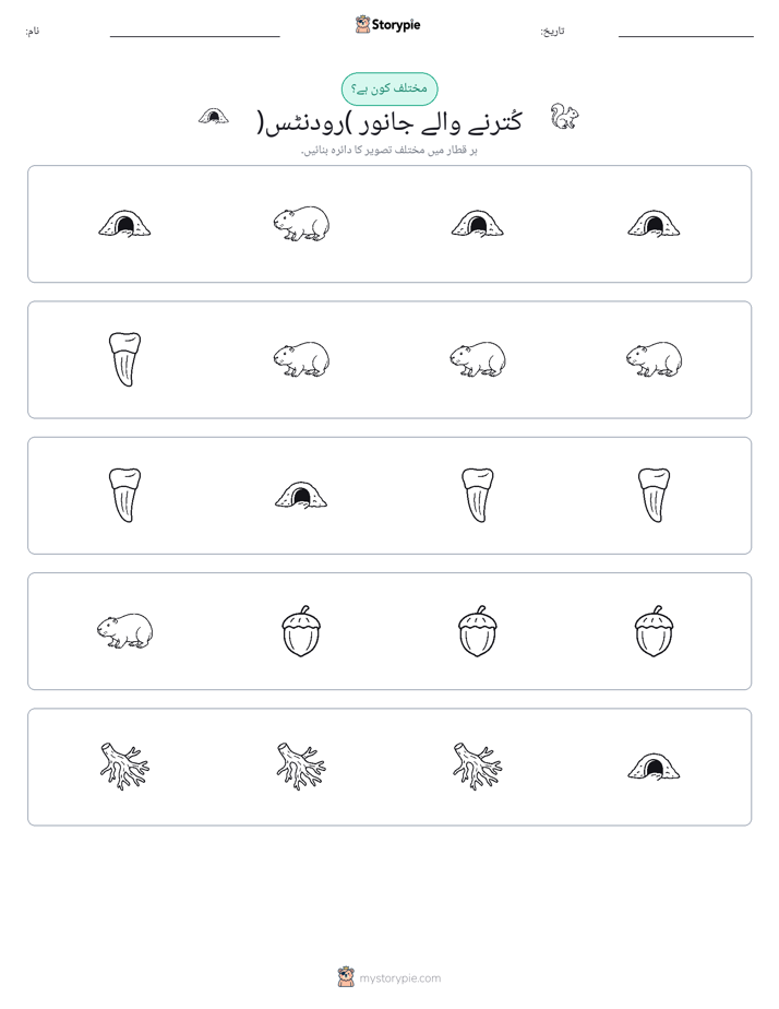 عجیب ایک