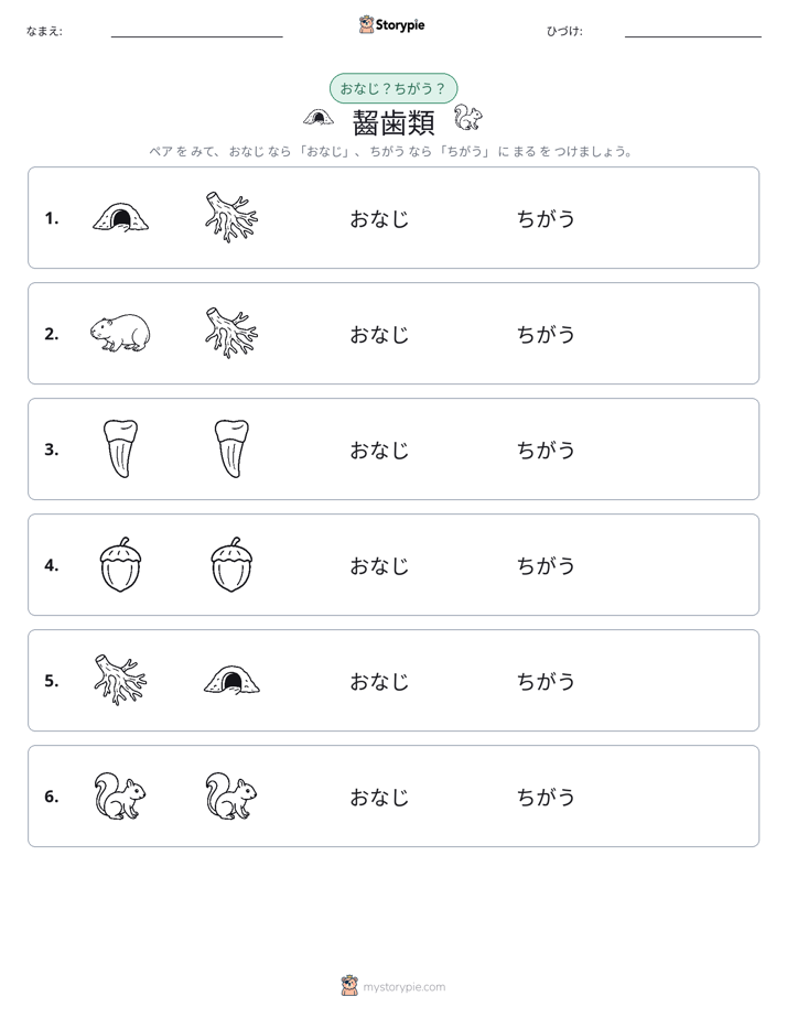 同じか違うか