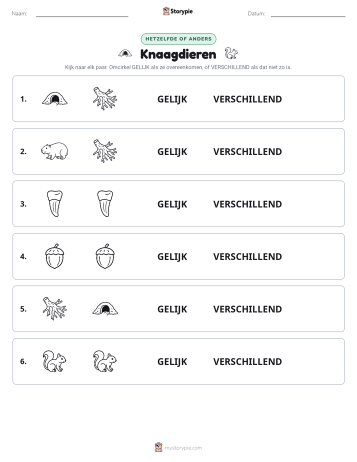 Zelfde of Verschillend