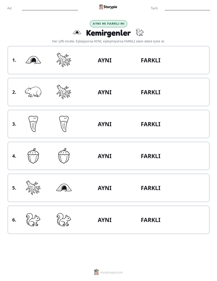 Aynı mı Farklı mı