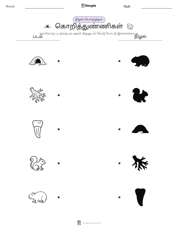 நிழல் பொருத்தம்
