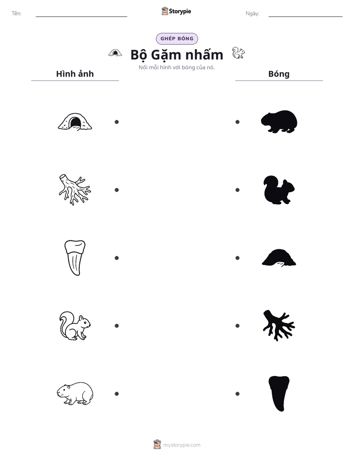 Ghép Hình Bóng
