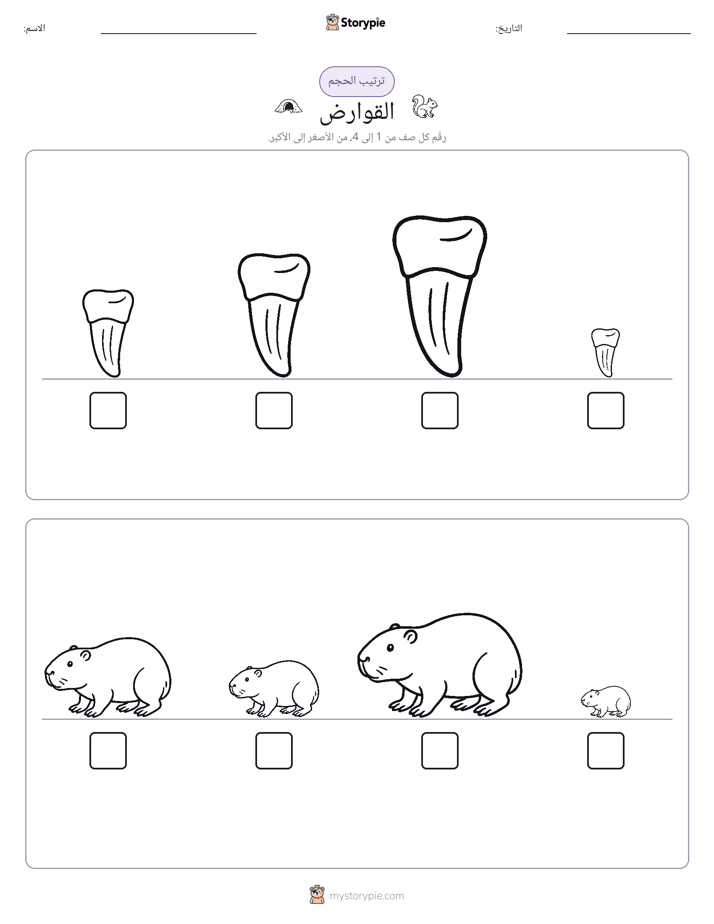 ترتيب الحجم