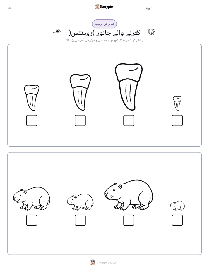 سائز کی ترتیب