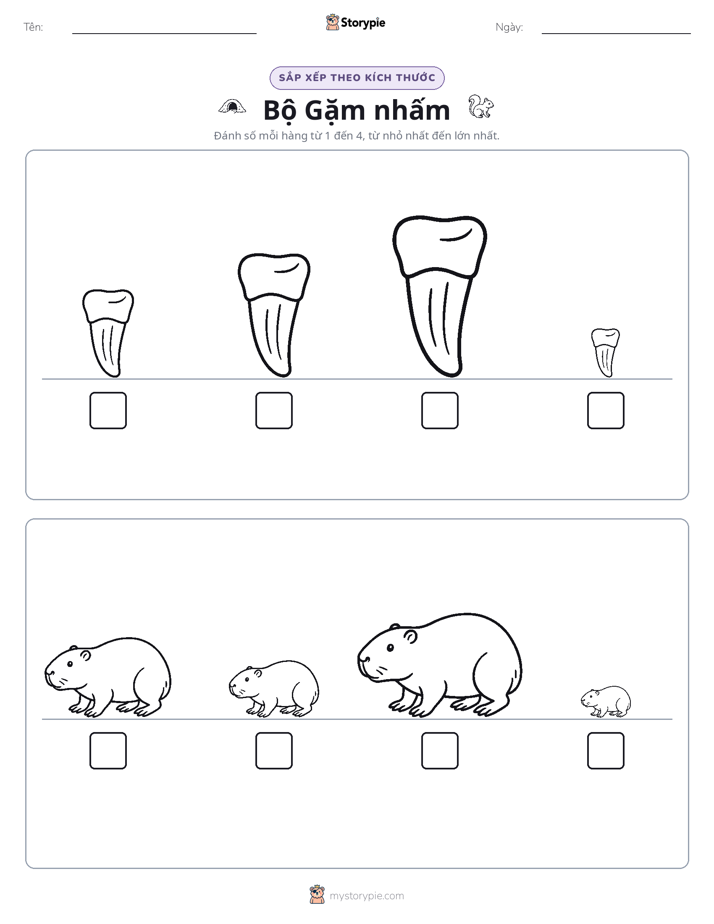 Thứ Tự Kích Thước