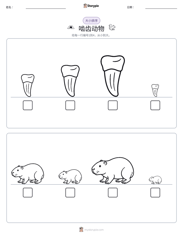 大小排序