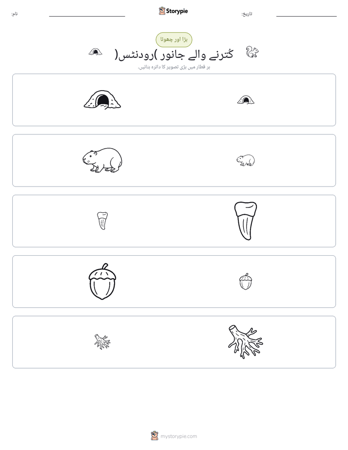 ترتیب دینا