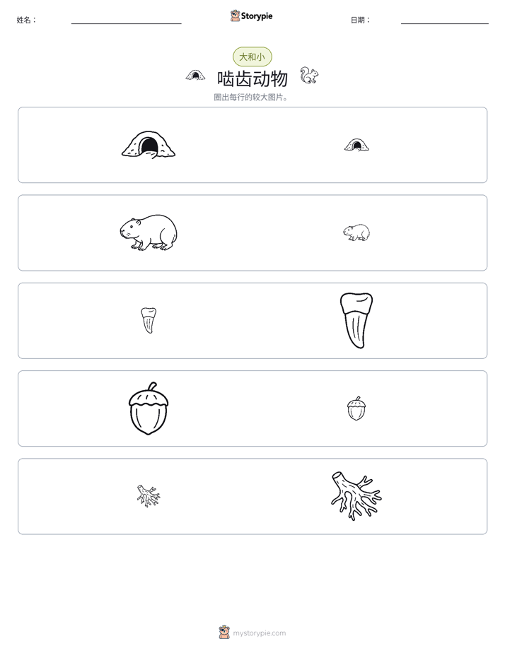 分类