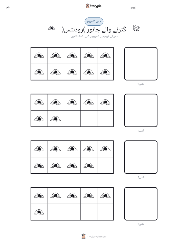 دس کا فریم