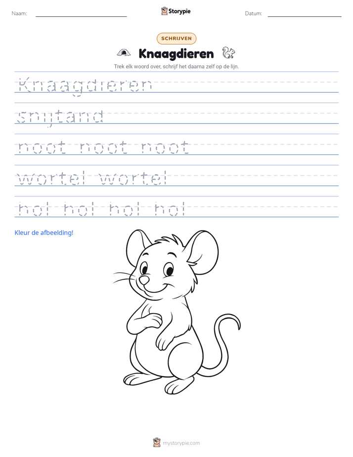 Schrijf Oefening