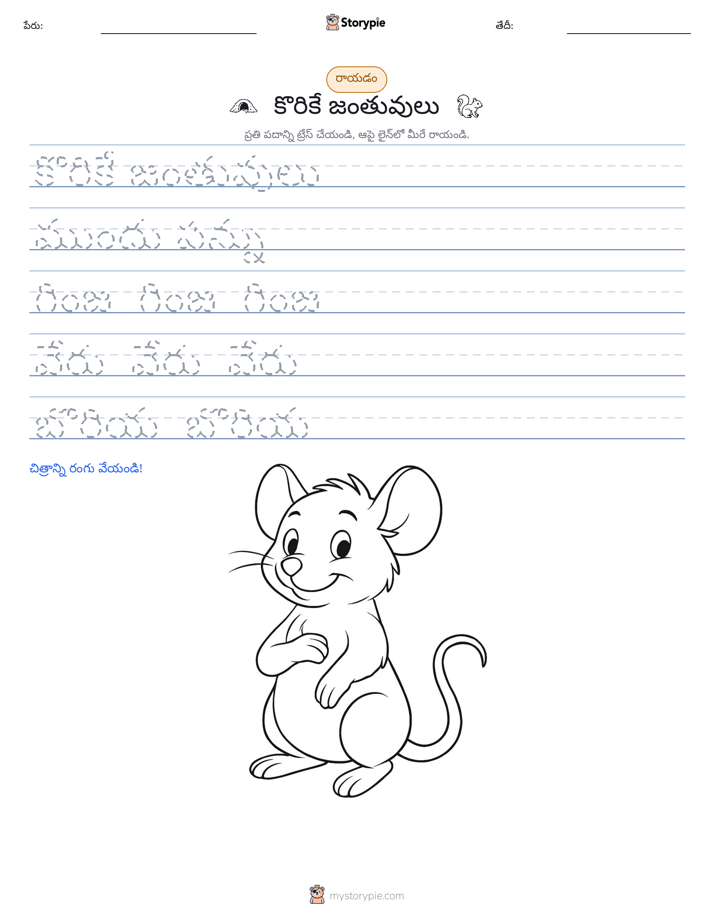 రాయడం సాధన