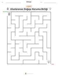 Uluslararası Doğayı Koruma Birliği yazdırılabilir çalışma sayfası önizlemesi