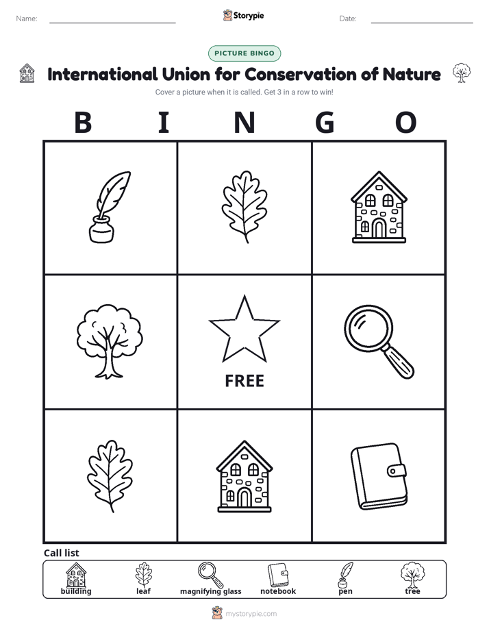 Picture Bingo