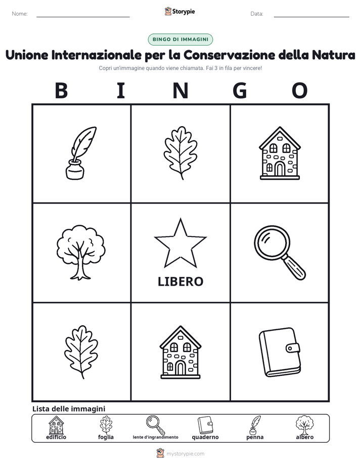 Bingo delle Immagini