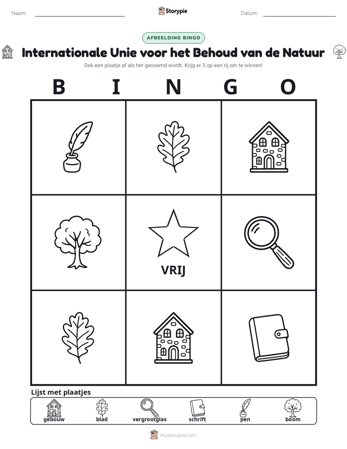 Afbeelding Bingo