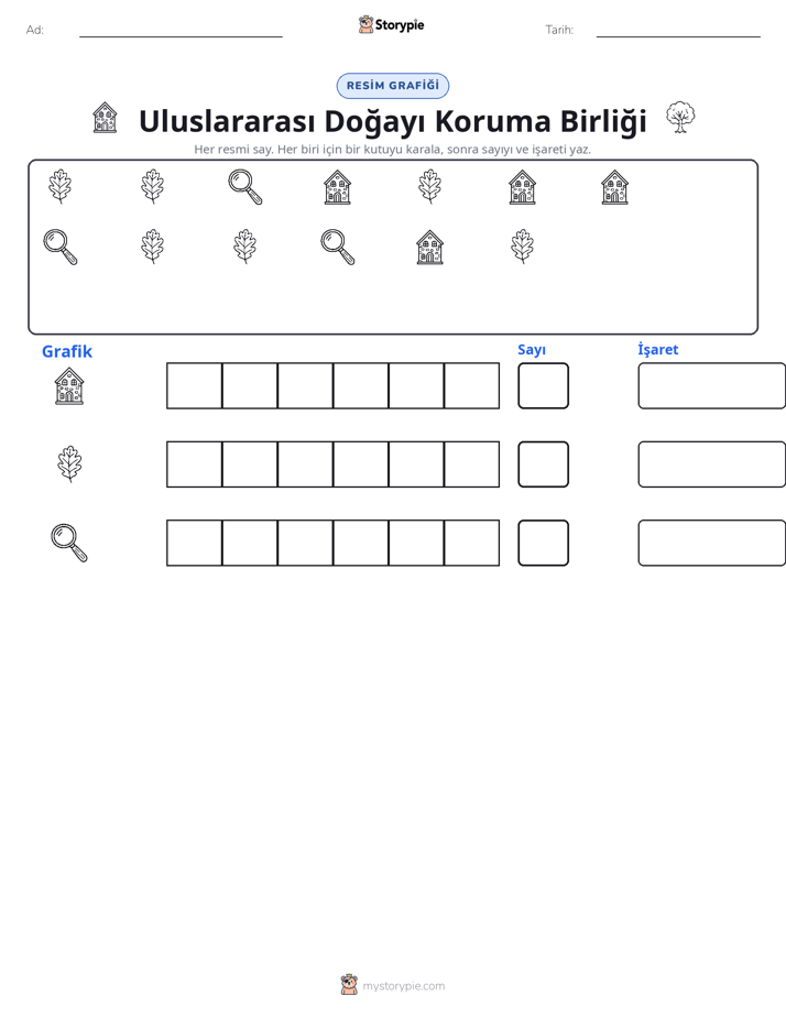 Say & Grafik