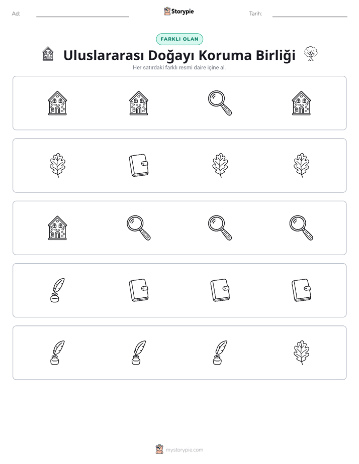 Farklı Olanı Bul