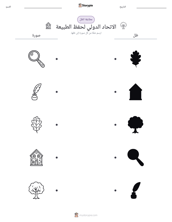 مطابقة الظل