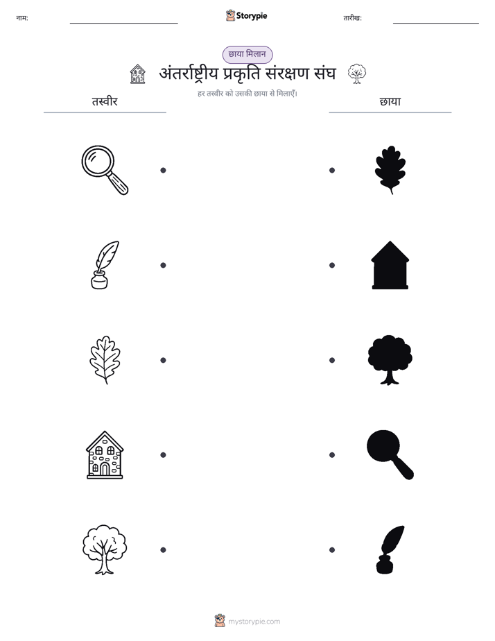 छाया मिलान