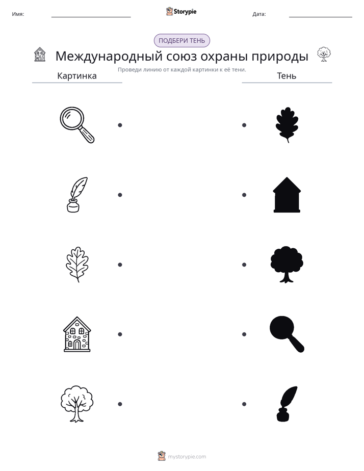 Сопоставление теней