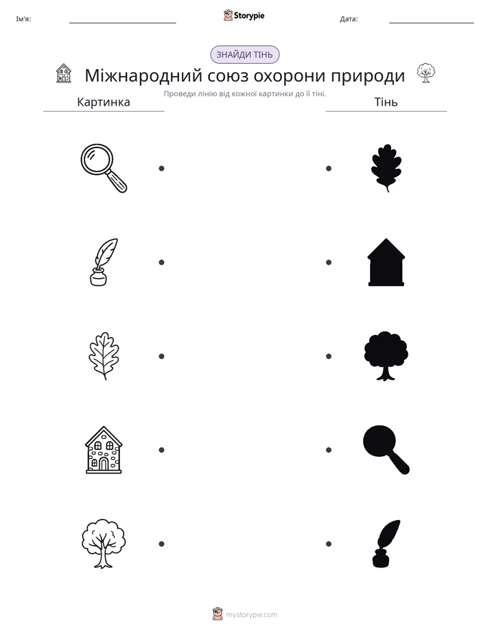 Тіньове Відповідність
