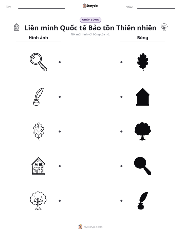 Ghép Hình Bóng