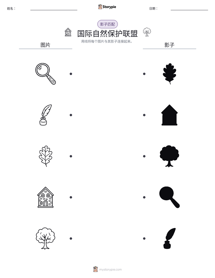 影子匹配