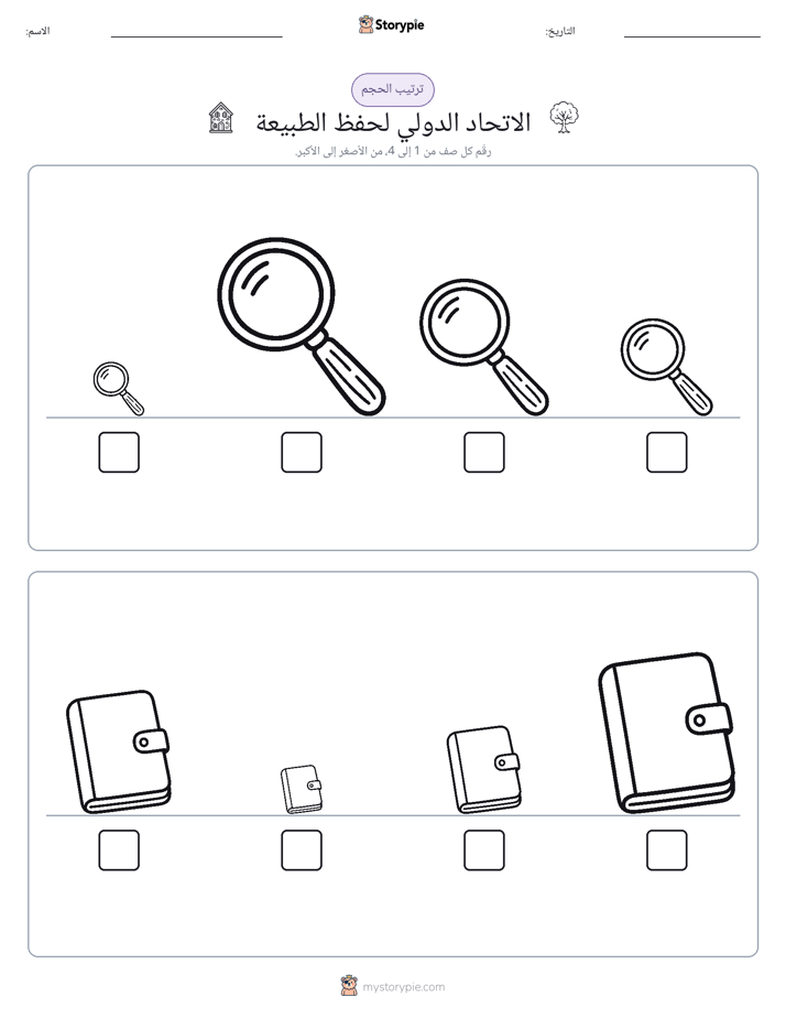 ترتيب الحجم