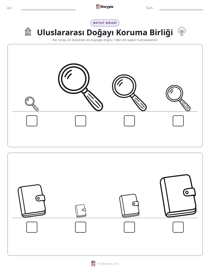 Boy Sıralaması