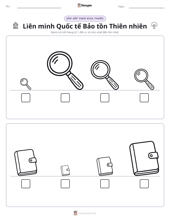 Thứ Tự Kích Thước