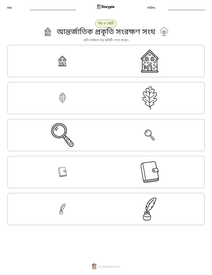 সাজানো