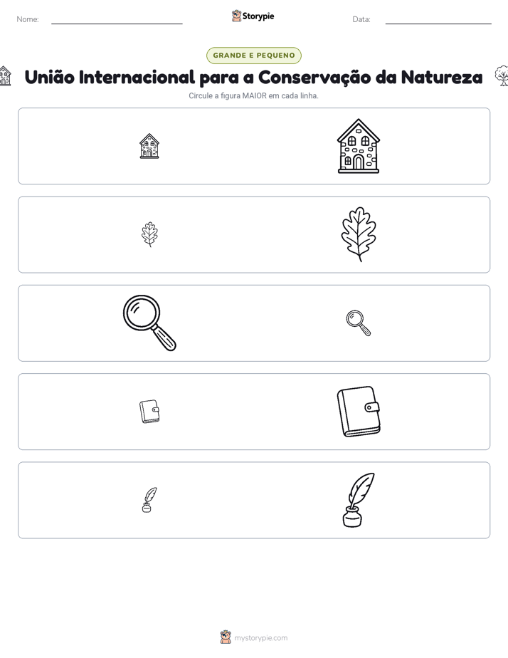 Classificação