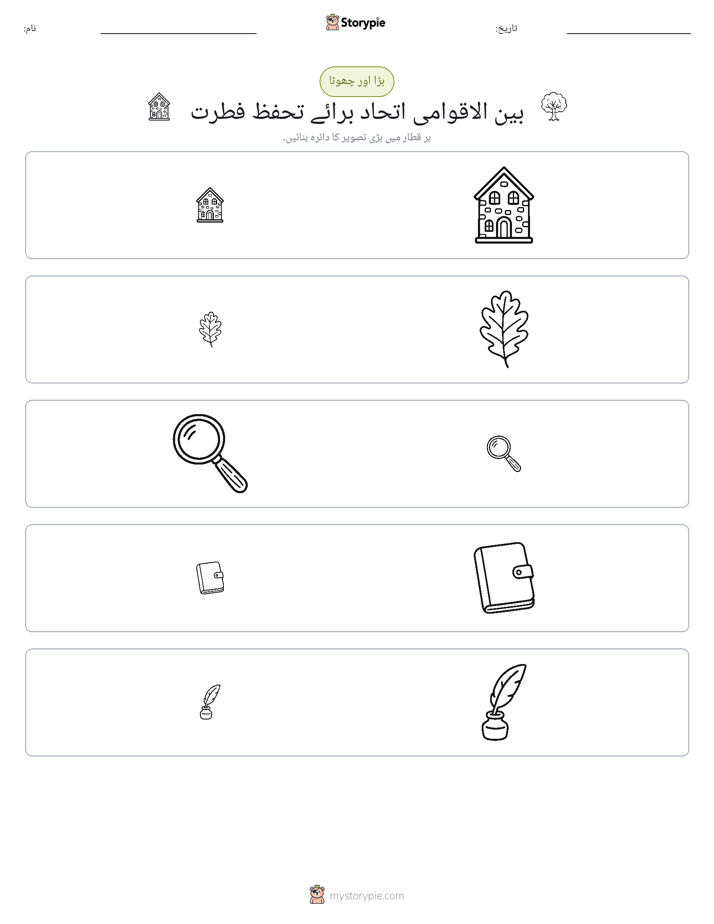ترتیب دینا