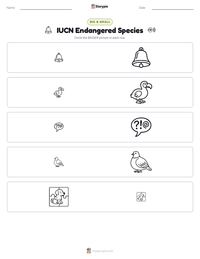 IUCN Endangered Species printable worksheet preview