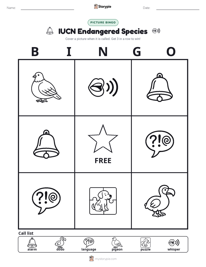 Picture Bingo