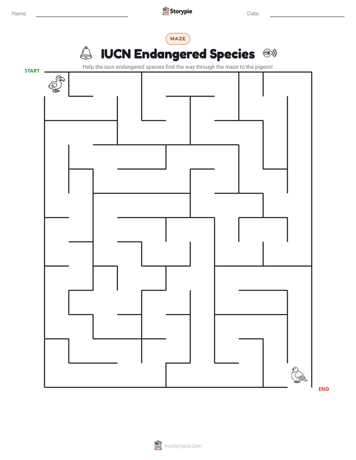 Maze