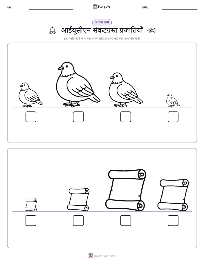 आकार क्रम