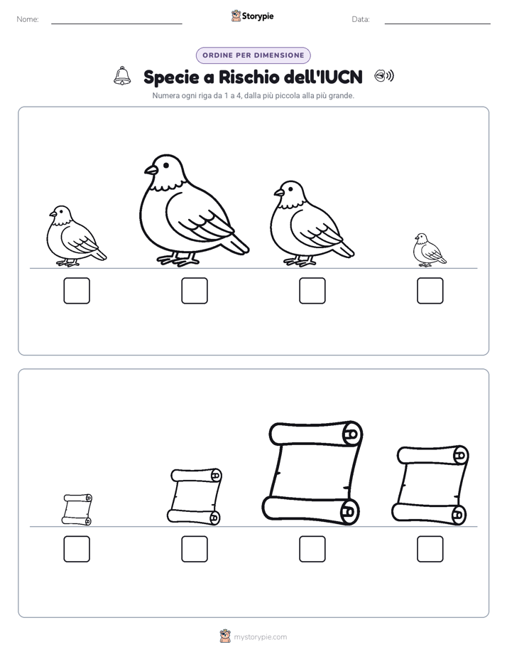 Ordine di Dimensione