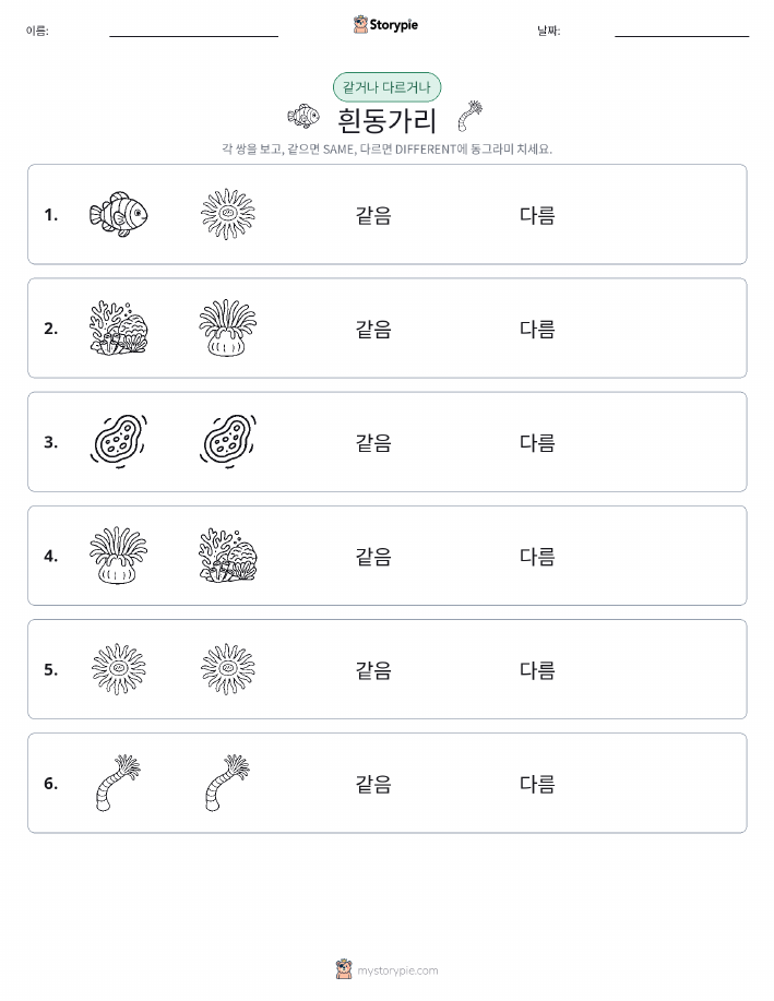 같은 것 또는 다른 것