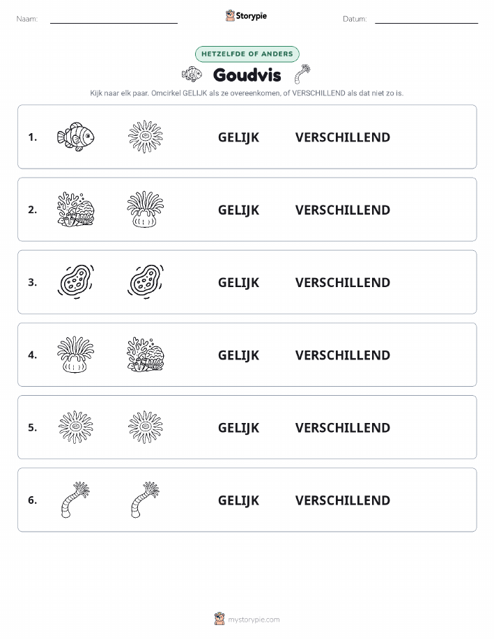 Zelfde of Verschillend