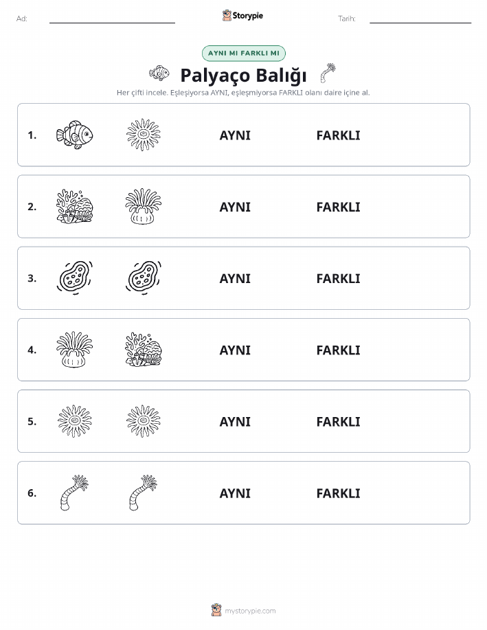 Aynı mı Farklı mı
